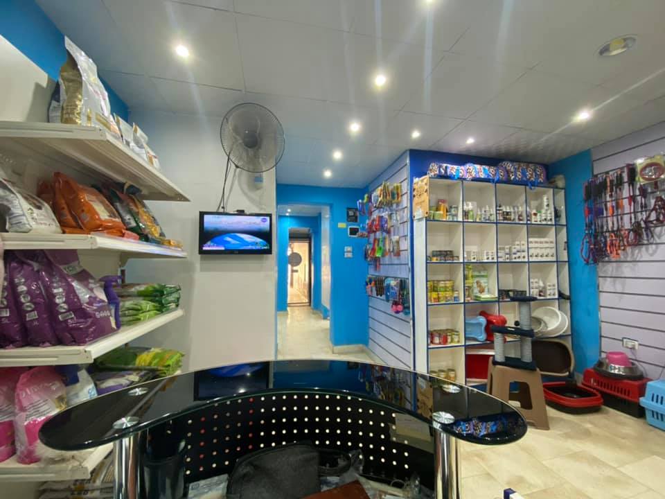 عيادة ايجى فيت البيطرية